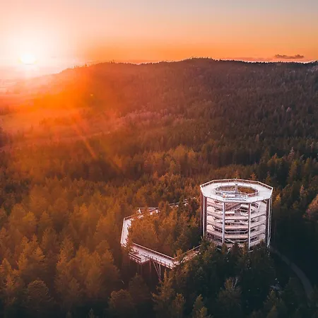 Molo Lipno Luxusni 4kk Apartman *