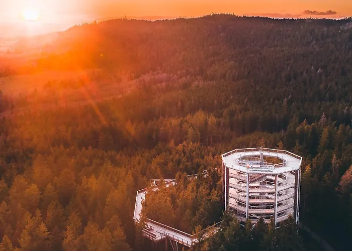 Molo Lipno Luxusní 4kk Apartamento *